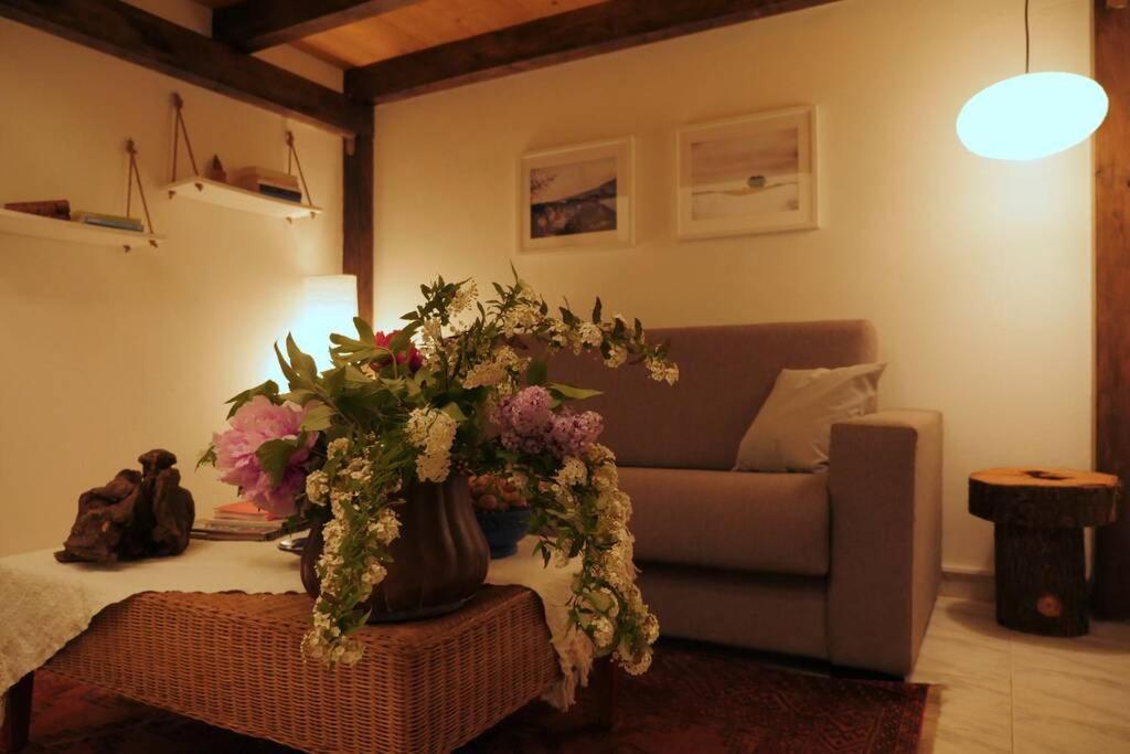 Casa Bicerin Διαμέρισμα Τορίνο Εξωτερικό φωτογραφία