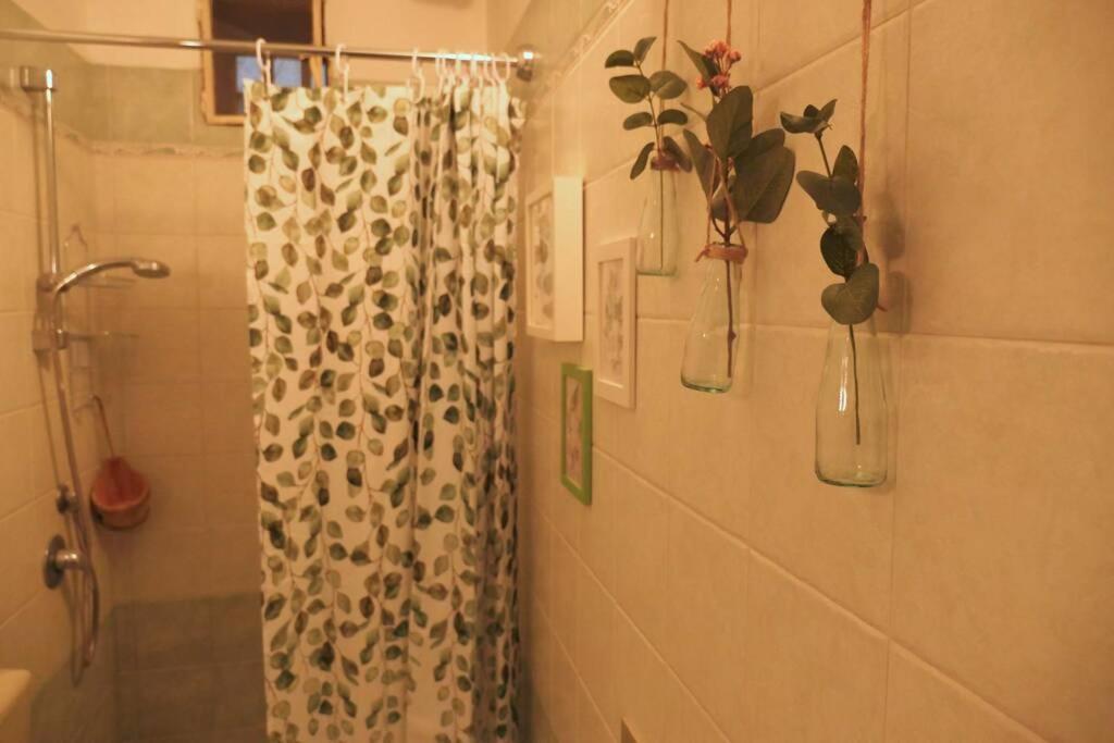 Casa Bicerin Διαμέρισμα Τορίνο Εξωτερικό φωτογραφία